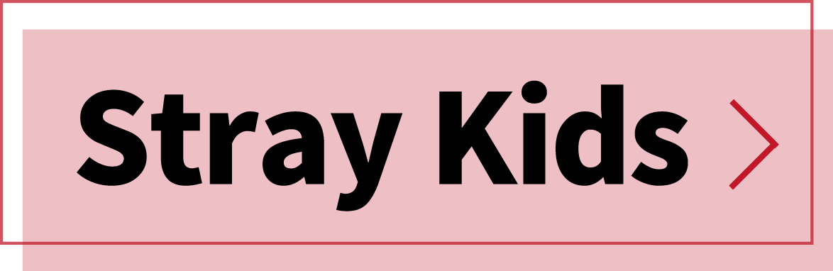 Stray Kidsのレッスン